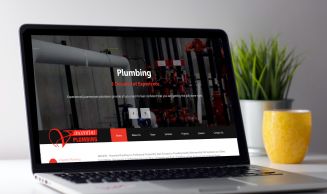 Vincentini Plumbing Update
